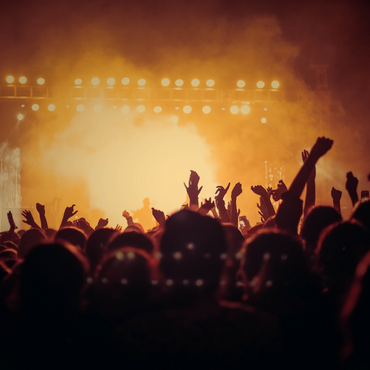 Konser Organizasyon 